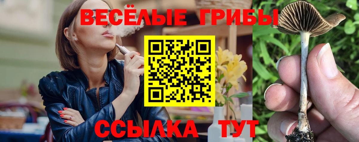 Галлюциногенные грибы прущие грибы  Вход с VPN  Ростов Великий 