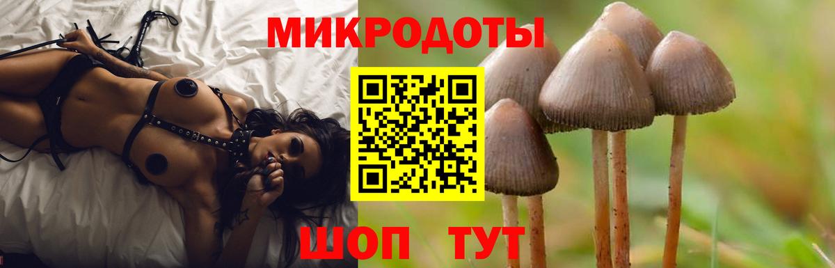Галлюциногенные грибы мухоморы Ростов Великий